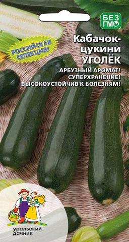 Кабачок УГОЛЁК  Арбузный аромат! Суперхранение! Высокая устойчивость к болезням!