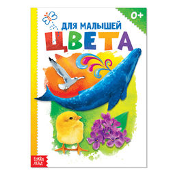 Книга картонная «Цвета», размер А5, 10 стр.