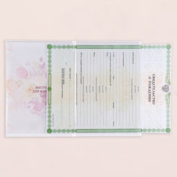 Папка под свидетельство о рождении Девочка рамка, шарики, А5 - Дарим Красиво фото 4