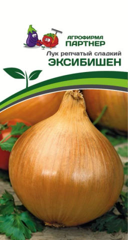 Лук репчатый Эксибишен - Партнер фото 2