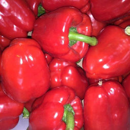 5067D Перец сладкий Солист 5шт