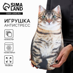 Игрушка-антистресс Котик