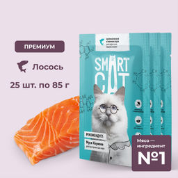 "Упаковка 25 шт" Паучи для взрослых кошек и котят кусочки лосося в нежном соусе
