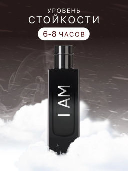 Dilis I AM Парфюмерная вода для мужчин 75 мл фото 5