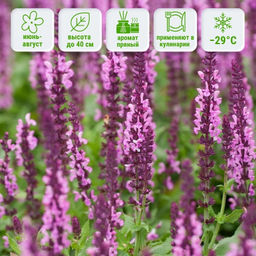 23210ab47ae110cc4dd5ae4bf1669fd8ecuw71xakyme2gtirw