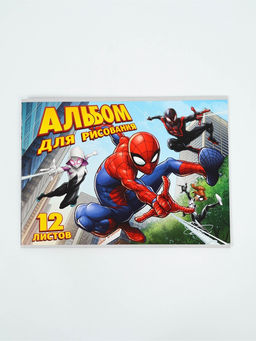 Цена за 4 шт. Альбом для рисования А4, 12 л «Паутина»,