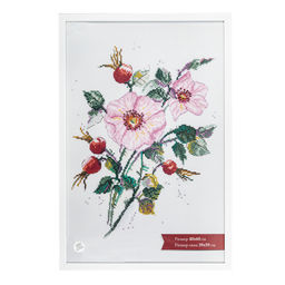 Рамка Gamma ПРК-20 40 х 60 см пластик. с оргстеклом белый