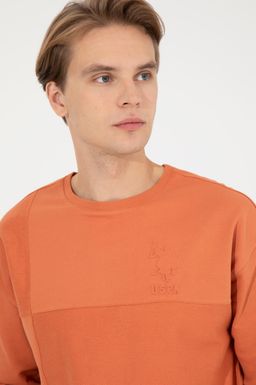 U. S. Polo Assn / Мужской свитшот с плиткой - U.s. polo assn фото 2