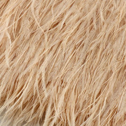 Перья страуса декоративные, на ленте, 8-10 см, 5±0.5 м, бежевые