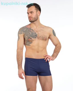 2816 Шорты купальные мужские (42-50)
