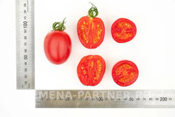 Томат Моне - Партнер фото 8