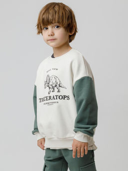 КР 302851/светло-бежевый 0783 к606 джемпер (свитшот) для мал