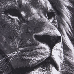 Набор кух. Полотенец Доляна Самый лучший мужчина 35х60 см - 4шт, 100% хл, 160г/м2  фото 3