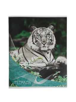 Набор тетрадей, 96 листов в линейку, Calligrata «Дикие кошки», серые листы, 4 штуки