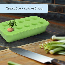 Цена за 2 шт. Ящик для выращивания зелёного лука, 29×16×8.5 см, 2.5 л, 10 лунок, пластик, зелёный, Greengo