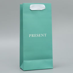 Цена за 2 шт. Пакет подарочный ламинированный, упаковка, «Подарок», 10 х 22 х 6 см