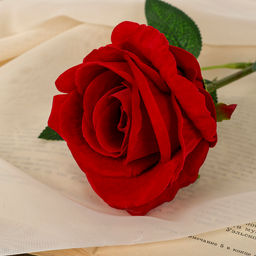 Цена за 2 шт. Цветы искусственные «Роза боливийская», 8×55 см, красные