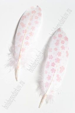 Перья декоративные 16*4,5 см (6 шт) Цветочки красные