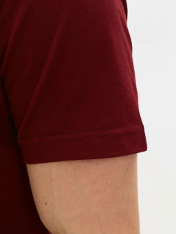 Джемпер мужской с воротником поло короткий рукав GREG G144-PO1246T-SA2081 (бордо)  фото 3