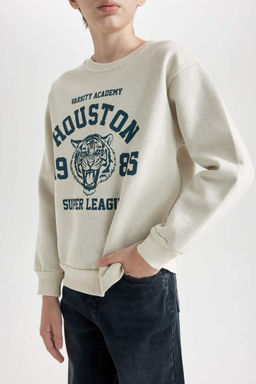 Толстовка из плотной ткани с круглым вырезом и принтом тигра для мальчиков обычного кроя - Defacto фото 4