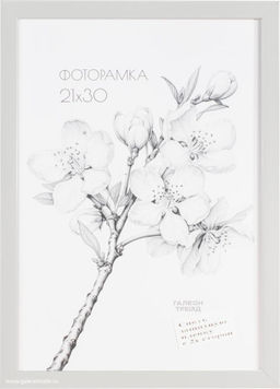 Фоторамка 21х30 с акриловым стеклом/ 1504А-012AL /уп10 ф - ГалеонТрейд фото 2