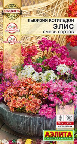 2016A Льюизия котиледон Элис, смесь сортов 5шт