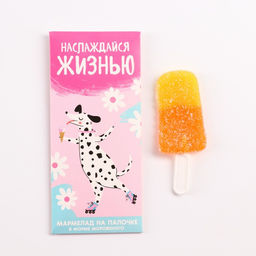 Мармелад в виде мороженого Наслаждайся жизнью, 1 шт. х 14 г.