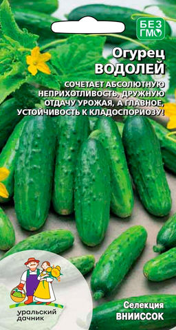 Огурец ВОДОЛЕЙ Сочетает абсолютную неприхотливость, дружную отдачу урожая, а главное устойчивость к кладоспориозу!