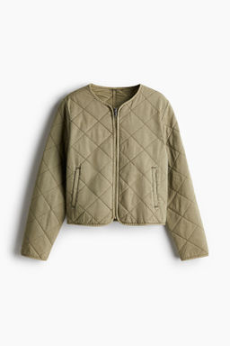 Chaqueta acolchada de algod?n