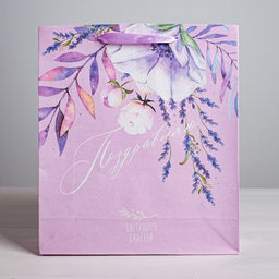 Цена за 2 шт. Пакет подарочный крафтовый, упаковка, Поздравляю, M 26?30?9 см