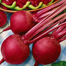 6274U Свекла столовая Бикорес 1гр