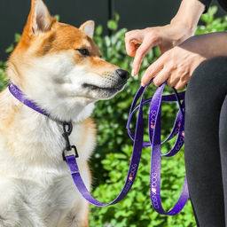 Поводок COSMO DOG, 2 см 1,5 м - Пушистое счастье фото 10