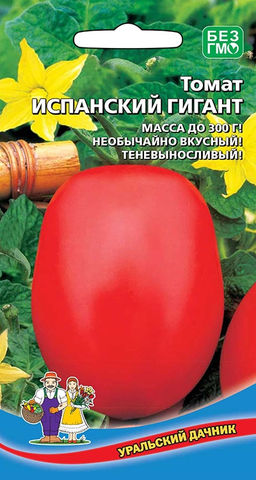 Томат ИСПАНСКИЙ ГИГАНТ Возьми не пожалеешь! Сорт формирует крупные кубовидные плоды, прекрасно подходит для переработки на соки, кетчупы, лечо и другие фирменные заготовки хозяек!