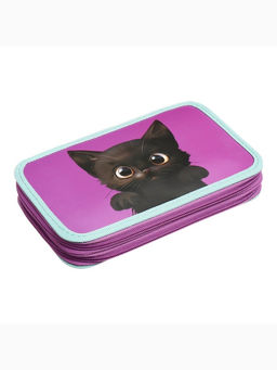 Пенал школьный, 2 секции, 12.5×20.5×4 см «Котик черный»