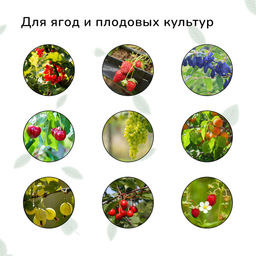 Сетка садовая, мягкая, 10×4 м, ячейка 15×15 мм, от птиц, Greengo