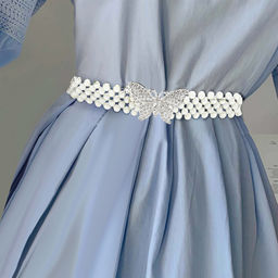 Ремень BL-Z248 - Ferro фото 2