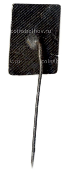 Значок Монастырская изба