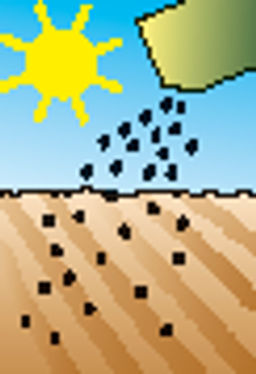 Смесь сухоцветов Зимняя радуга - Аэлита фото 2