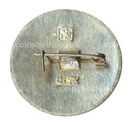 Значок Золотое кольцо Юрьев Польский