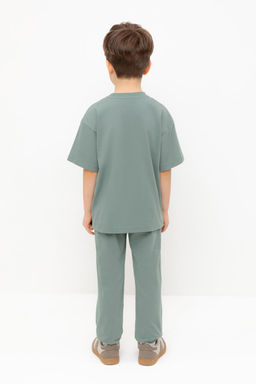 КР 400612/полынь к424 брюки для мал