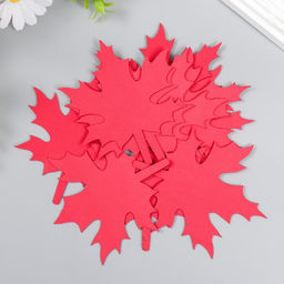 Заготовка из фоамирана «Лист клена», 10.5×9 см, набор 10 шт., красный