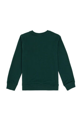 Темно-зеленый базовый свитшот для мальчика - U.s. polo assn фото 2