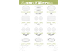 Набор 2 блюд 30,5*23*2 см и 25,5*19*2 см "Веточки-цветочки" овальное, фарфор