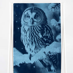 Полотенце махровое 6с102.413ж1 Фото-сова(джинс) 81х160см