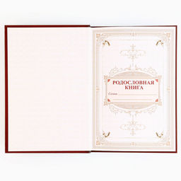 Родословная книга новогодняя «Дед Мороз» 17×2×23.7 см