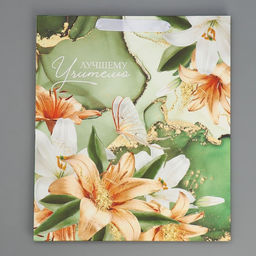 Цена за 2 шт. Пакет подарочный ламинированный, упаковка, «Лучшему учителю», M 30×26×9 см