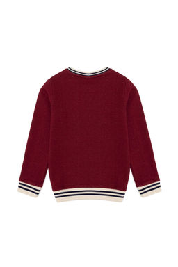 Толстовка вишнёвого цвета для мальчика Неожиданная скидка в корзине - U.s. polo assn фото 3