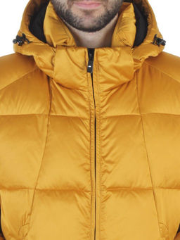 6266L GOLD Куртка зимняя мужская (био-пух)