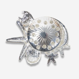 Брошь-магнит Морская раковины и перламутровые звезды - Модные истории фото 2