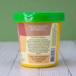 Набор для выращивания "Кактусы"